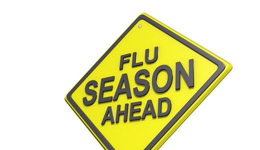 Universal Flu Vaccine in the Works 